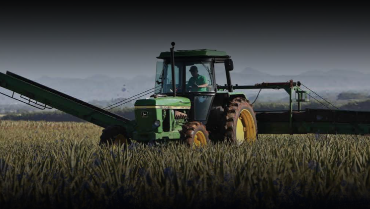 Agriklutur